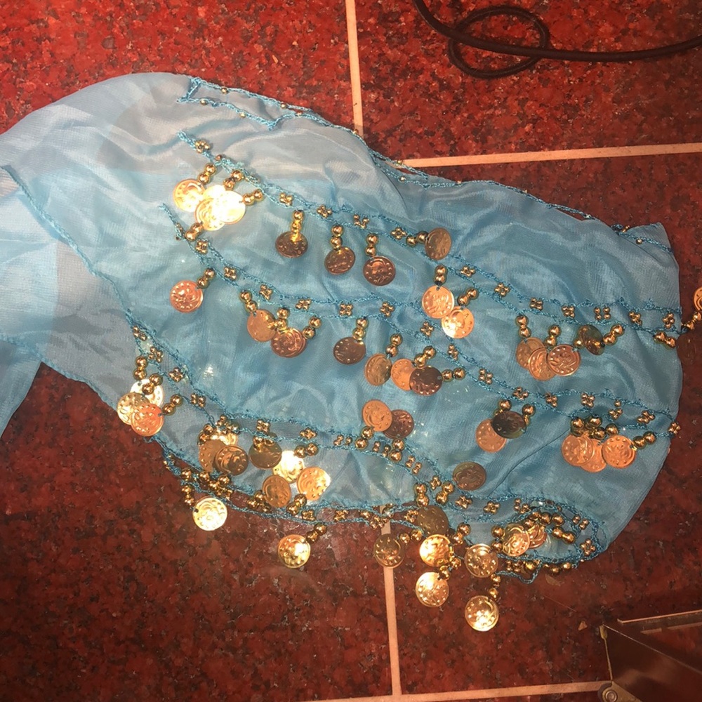 Belly dance skirt